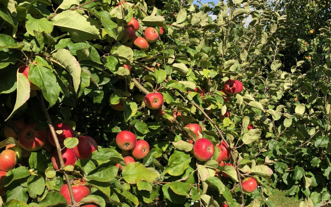 Der September ist da (Kommt der Herbst für die Zeitarbeitsbranche?)