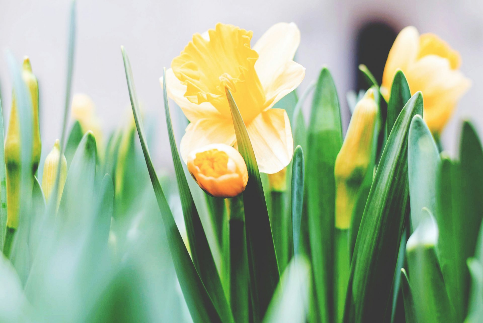 Foto von Tim Gouw auf Unsplash.
