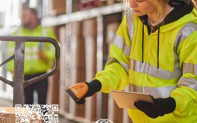 Karriere in der Luftfahrtlogistik ✈️ Bereit für den Abflug? Deine Karriere in der Luftfahrtlogistik startet hier!